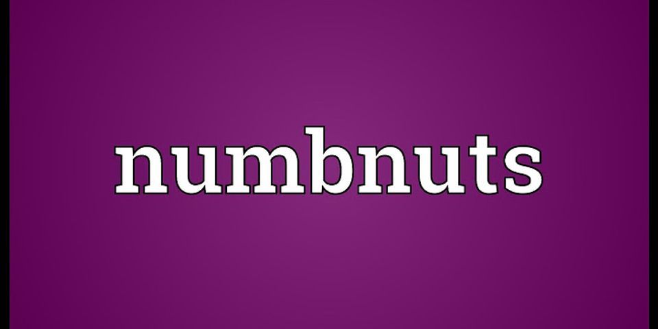 numbnuts là gì - Nghĩa của từ numbnuts