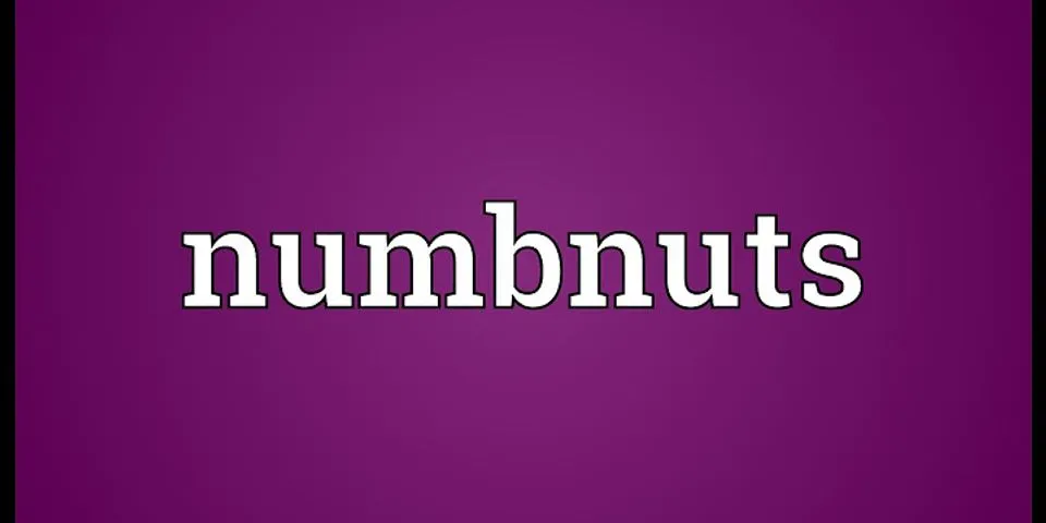 numnuts là gì - Nghĩa của từ numnuts