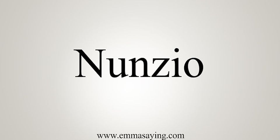 nunzios là gì - Nghĩa của từ nunzios