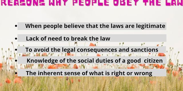 obey the law là gì - Nghĩa của từ obey the law