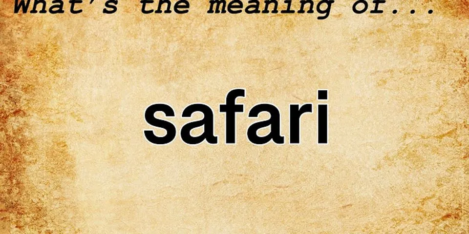 on safari là gì - Nghĩa của từ on safari
