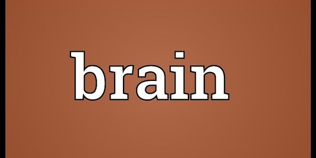 on the brain là gì - Nghĩa của từ on the brain