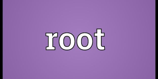 on the root là gì - Nghĩa của từ on the root
