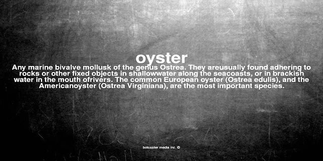 oyster là gì - Nghĩa của từ oyster