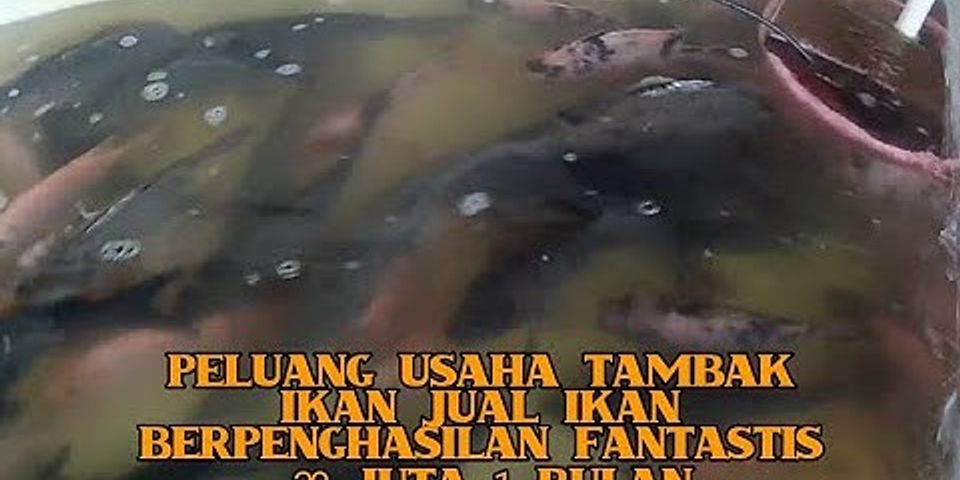 Umumnya masa paceklik ikan bagi nelayan di indonesia terjadi pada bulan tertentu salah satunya