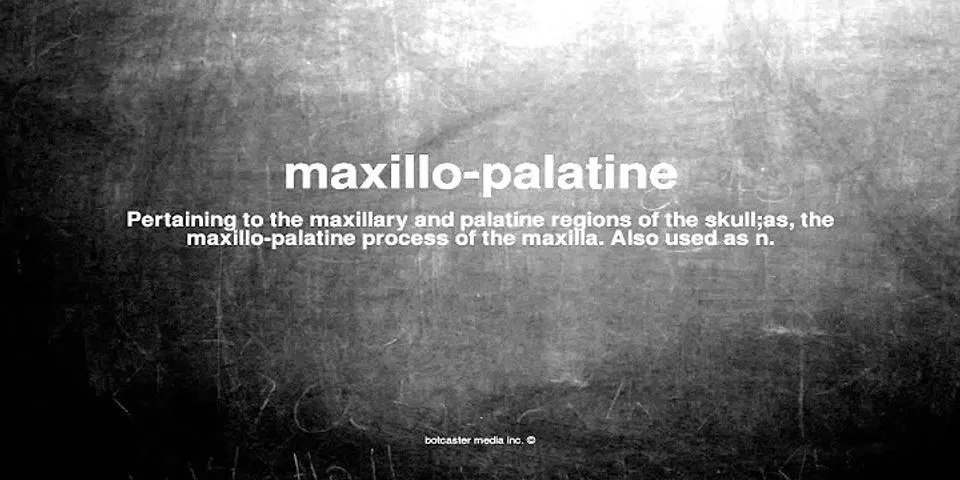 palatine là gì - Nghĩa của từ palatine