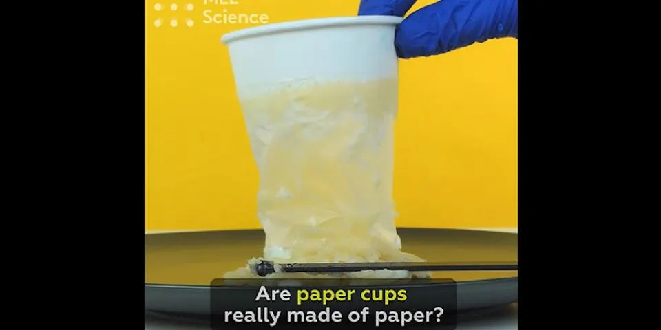 paper cups là gì - Nghĩa của từ paper cups