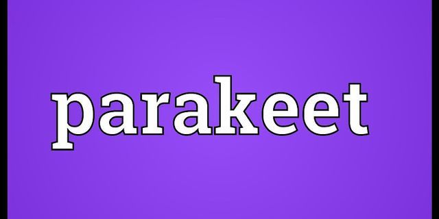 parakeet là gì - Nghĩa của từ parakeet
