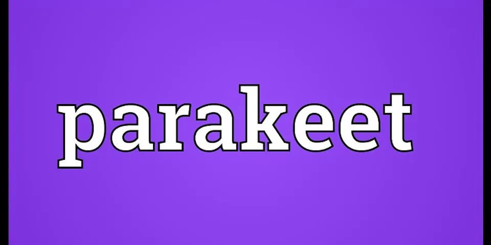 parakeets là gì - Nghĩa của từ parakeets