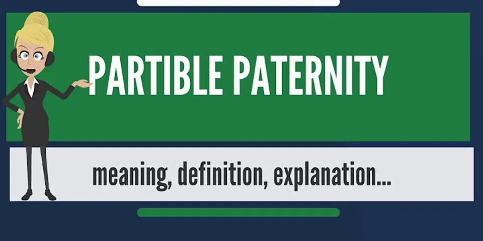 paternity là gì - Nghĩa của từ paternity