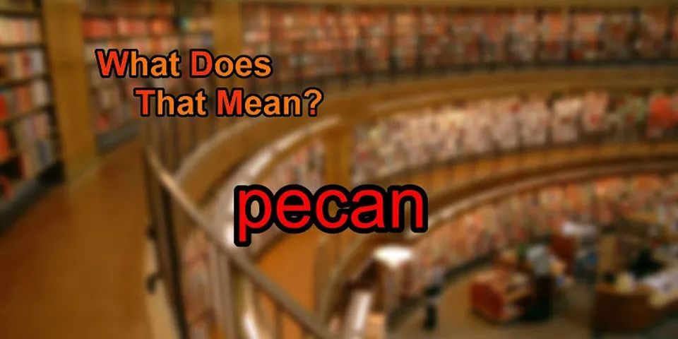 pecan là gì - Nghĩa của từ pecan