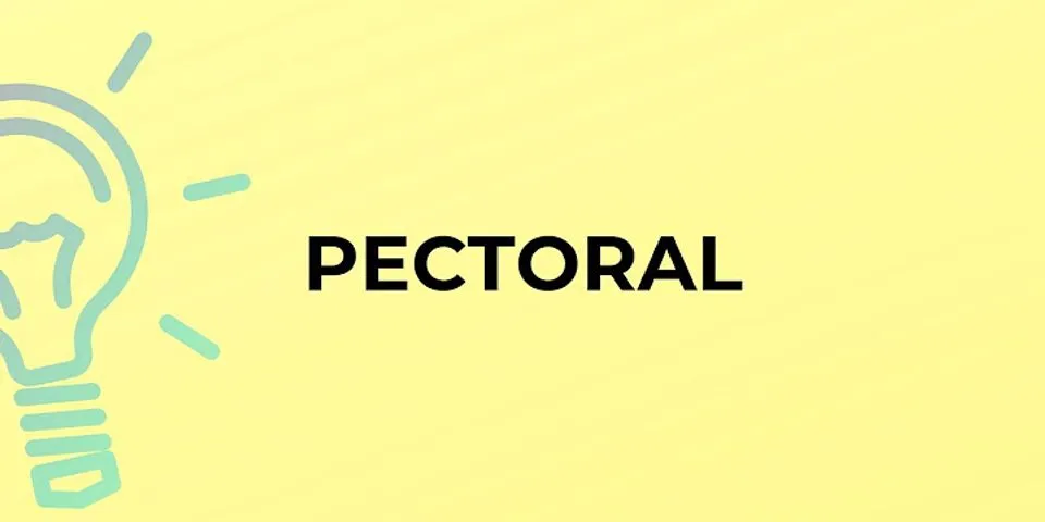 pectoral là gì - Nghĩa của từ pectoral