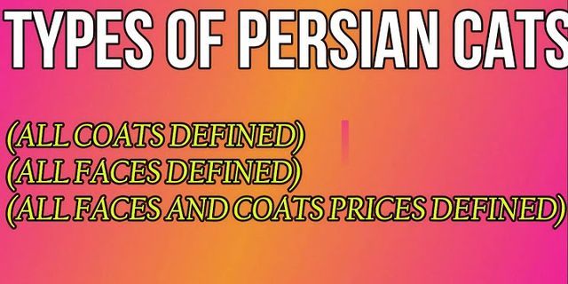 persian cat là gì - Nghĩa của từ persian cat