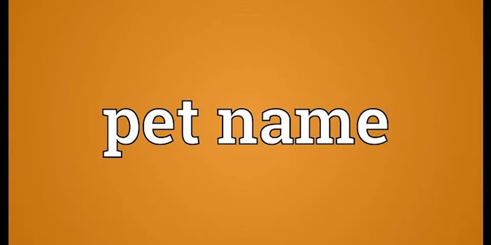 pet name là gì - Nghĩa của từ pet name