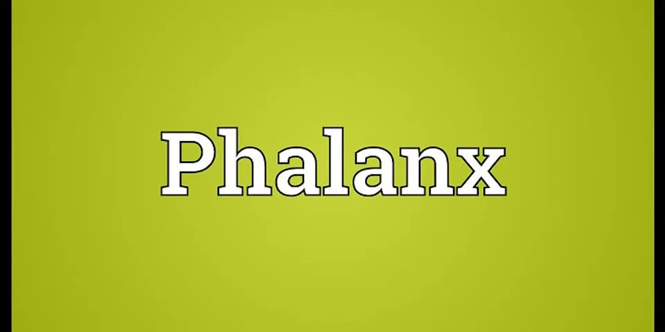 phalanx là gì - Nghĩa của từ phalanx