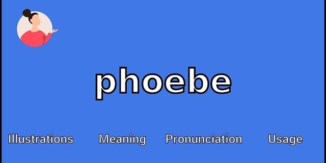 phoebes là gì - Nghĩa của từ phoebes