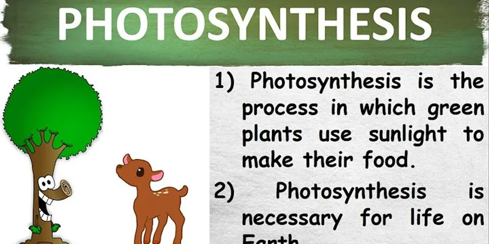 photosynthesize là gì - Nghĩa của từ photosynthesize