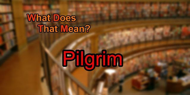 pilgrim là gì - Nghĩa của từ pilgrim