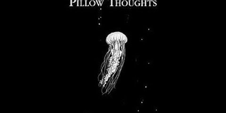 pillow thoughts là gì - Nghĩa của từ pillow thoughts