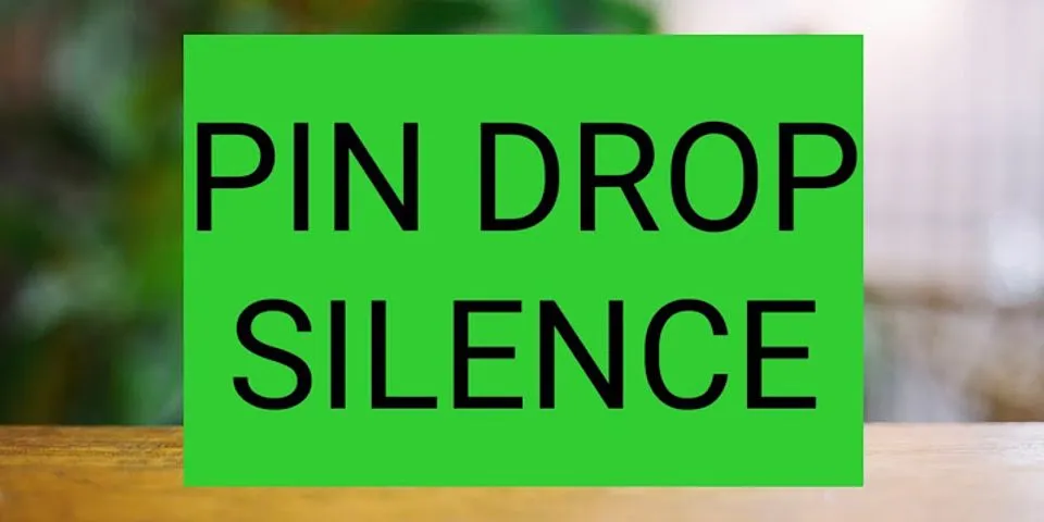 pin drop là gì - Nghĩa của từ pin drop