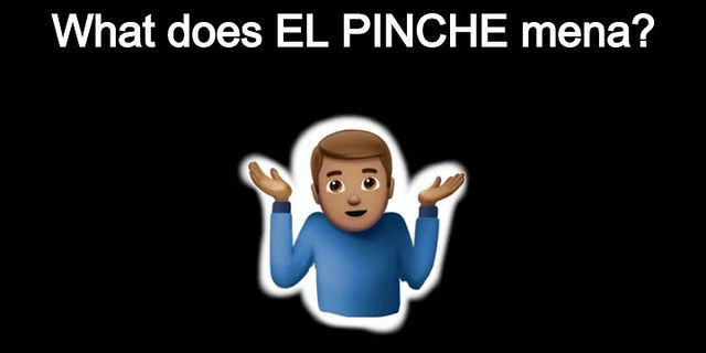 pinche là gì - Nghĩa của từ pinche
