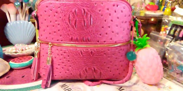 pink purse là gì - Nghĩa của từ pink purse