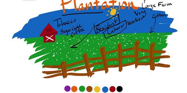 plantations là gì - Nghĩa của từ plantations