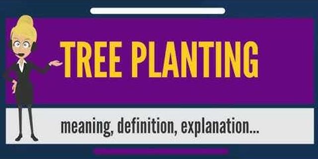 planting trees là gì - Nghĩa của từ planting trees