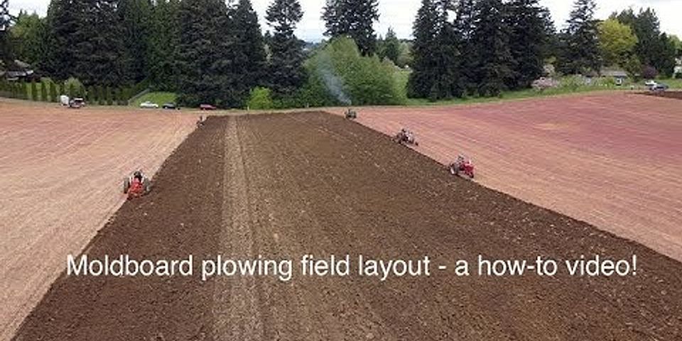 plowing a field là gì - Nghĩa của từ plowing a field