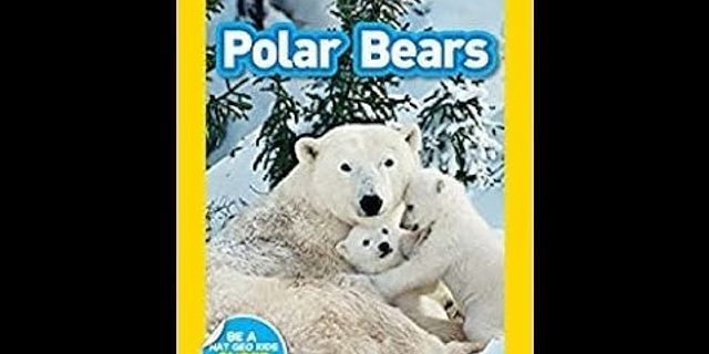 polar bear rug là gì - Nghĩa của từ polar bear rug