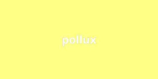 pollux là gì - Nghĩa của từ pollux