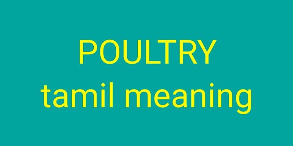 poultry là gì - Nghĩa của từ poultry