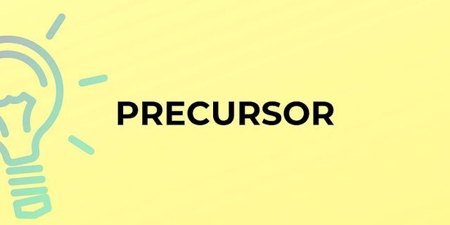 precursors là gì - Nghĩa của từ precursors