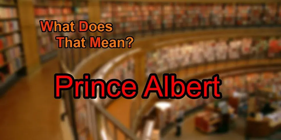 prince albert là gì - Nghĩa của từ prince albert