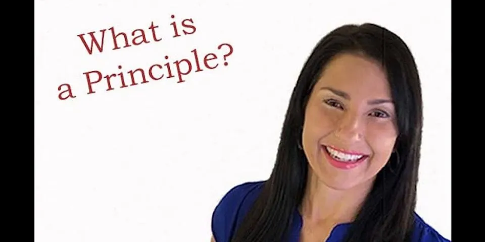 principals là gì - Nghĩa của từ principals