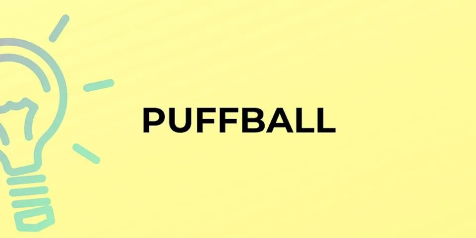 puffball là gì - Nghĩa của từ puffball
