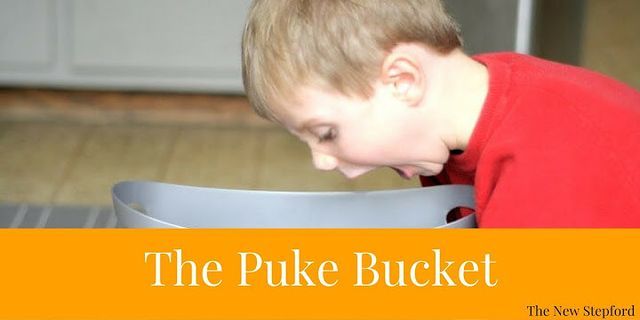 puke bucket là gì - Nghĩa của từ puke bucket