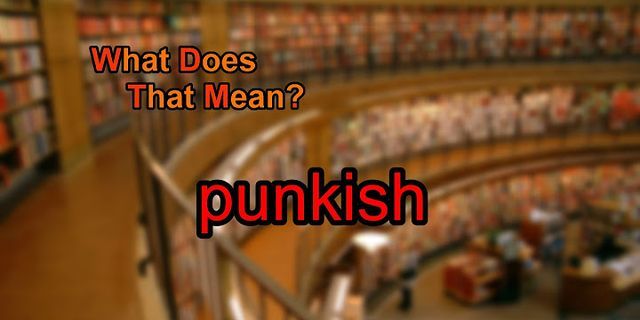 punkish là gì - Nghĩa của từ punkish
