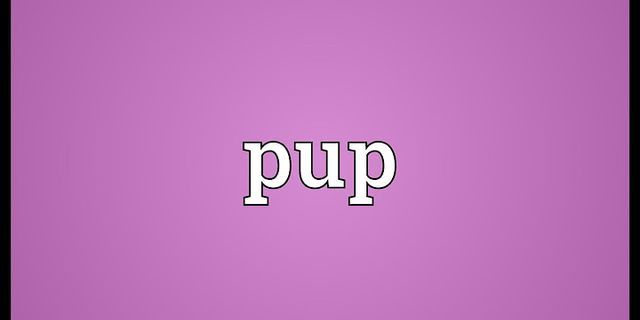 pup là gì - Nghĩa của từ pup