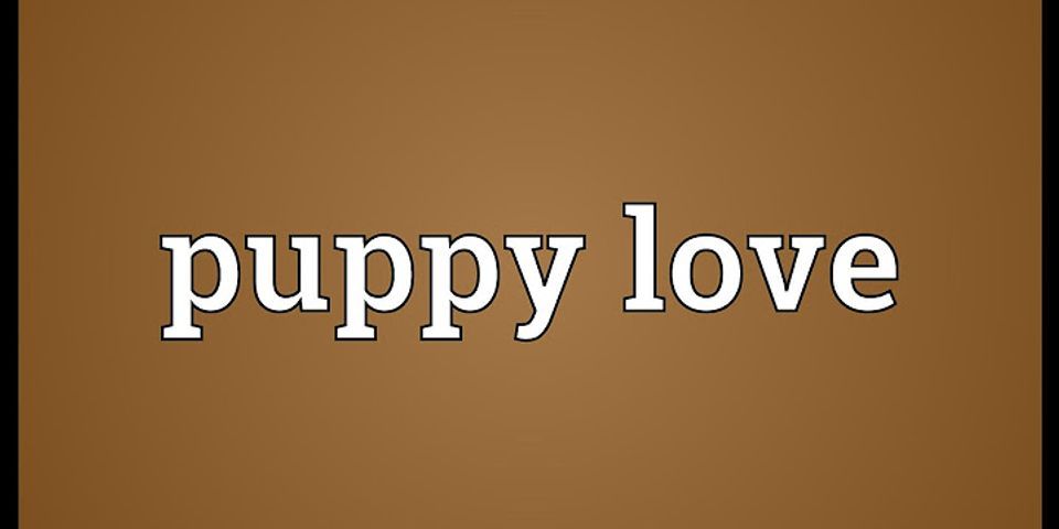 puppy love là gì - Nghĩa của từ puppy love