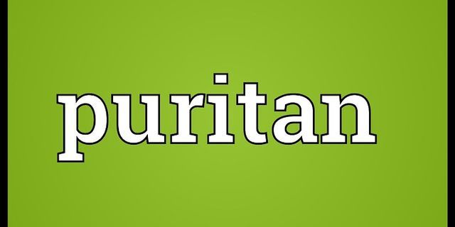 puritans là gì - Nghĩa của từ puritans