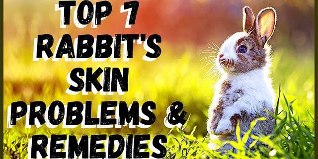 rabbit skins là gì - Nghĩa của từ rabbit skins