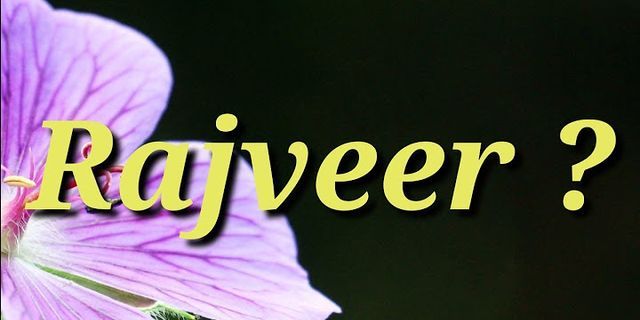rajveer là gì - Nghĩa của từ rajveer