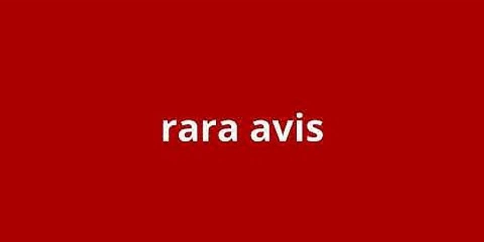 rara avis là gì - Nghĩa của từ rara avis