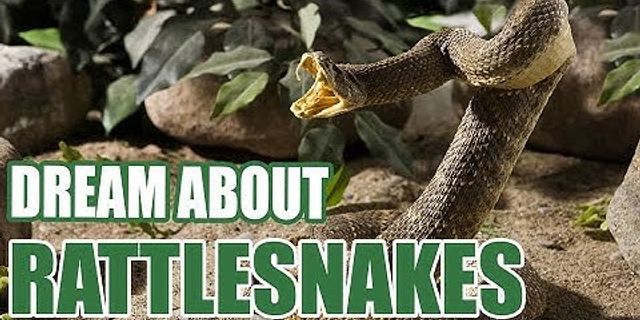 rattlesnakes là gì - Nghĩa của từ rattlesnakes