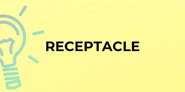 receptacles là gì - Nghĩa của từ receptacles