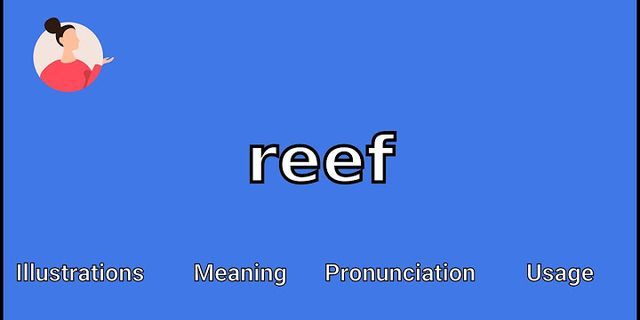reefs là gì - Nghĩa của từ reefs