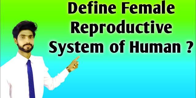 reproductive system là gì - Nghĩa của từ reproductive system