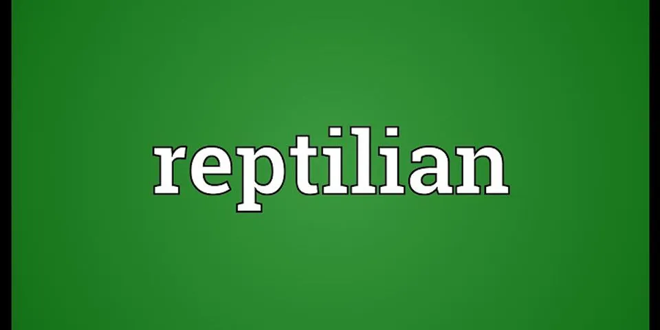reptilians là gì - Nghĩa của từ reptilians