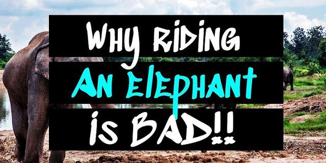 riding an elephant là gì - Nghĩa của từ riding an elephant